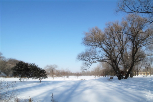 【冰雪新天地】一价全含哈尔滨往返6日游