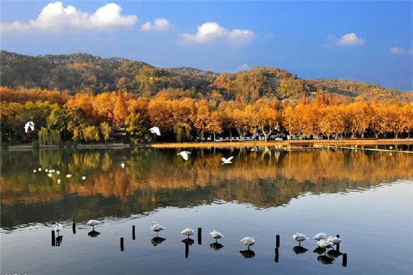 寻梦江南华东六市双飞6日游